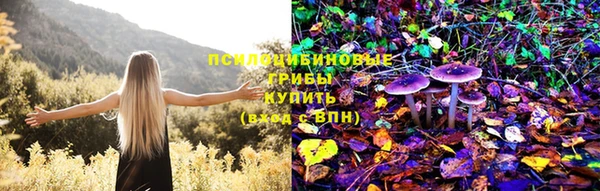тгк Гусиноозёрск