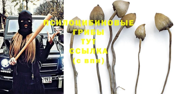 а пвп мука Гусев