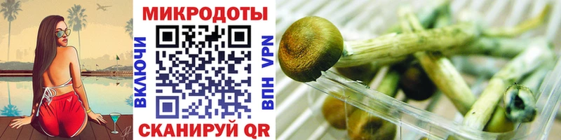 Псилоцибиновые грибы мицелий  Купить закладки  Камызяк 